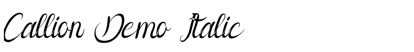 Preview Callion Demo Italic