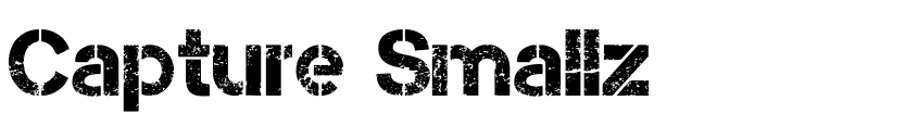 Preview Capture Smallz