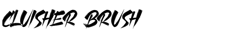 Preview CLUISHER BRUSH