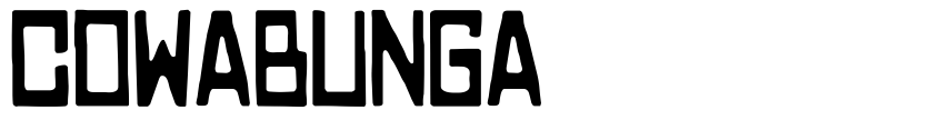 Preview COWABUNGA
