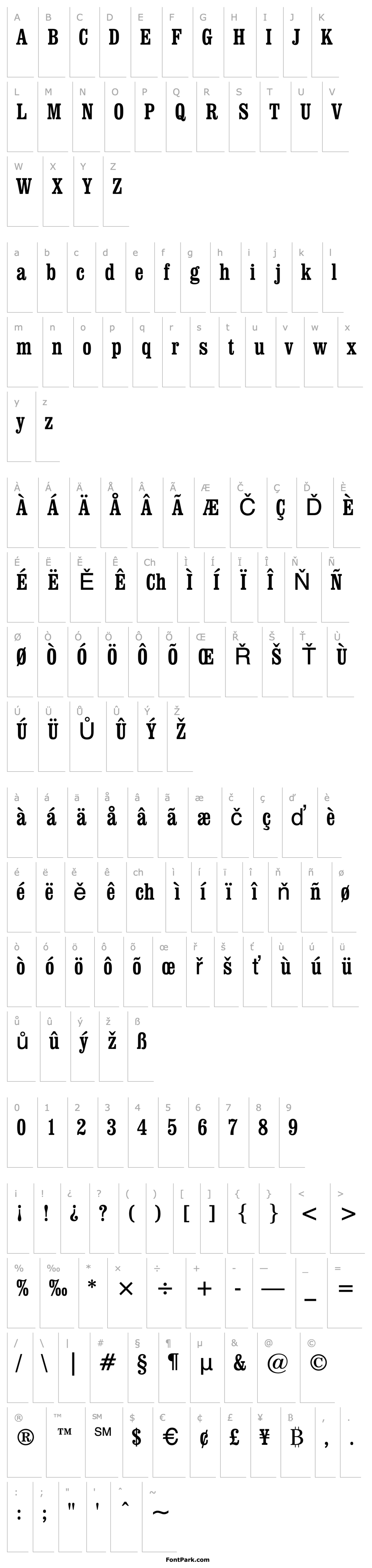 Přehled ClarendonBT-RomanCondensed