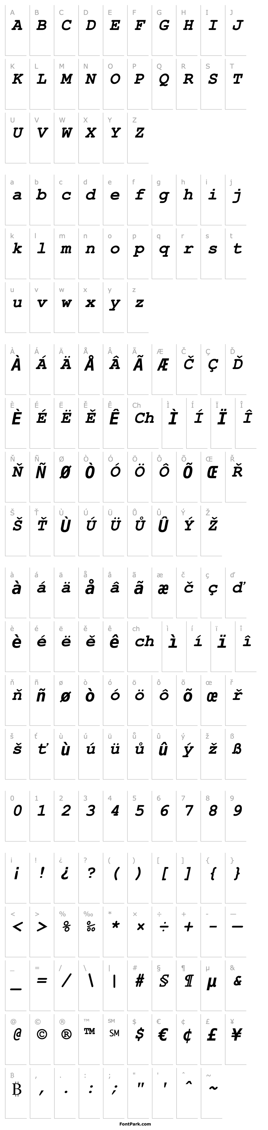 Overview Courier New CE Bold Italic