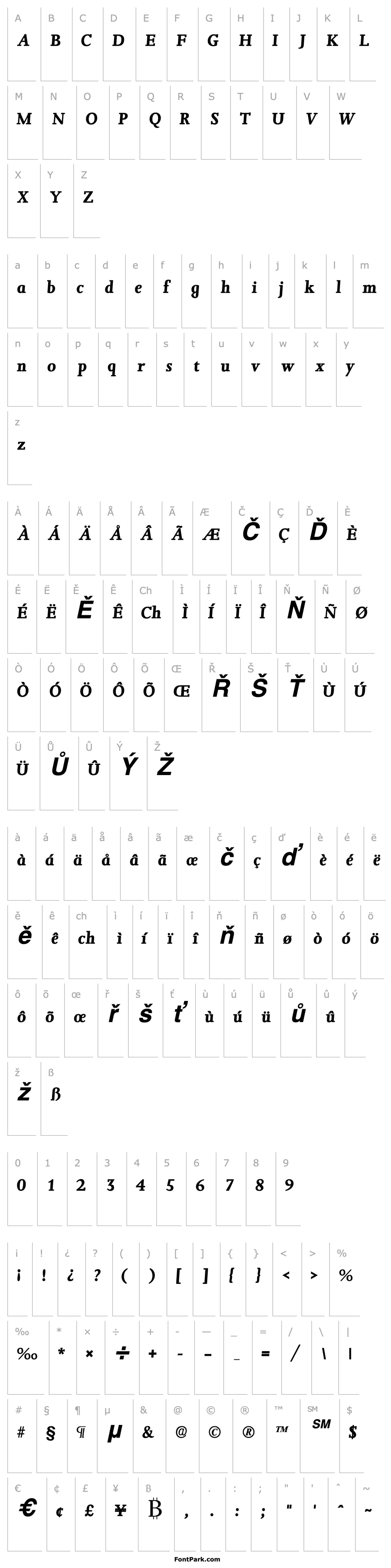 Overview ConfirmaSSK Bold Italic