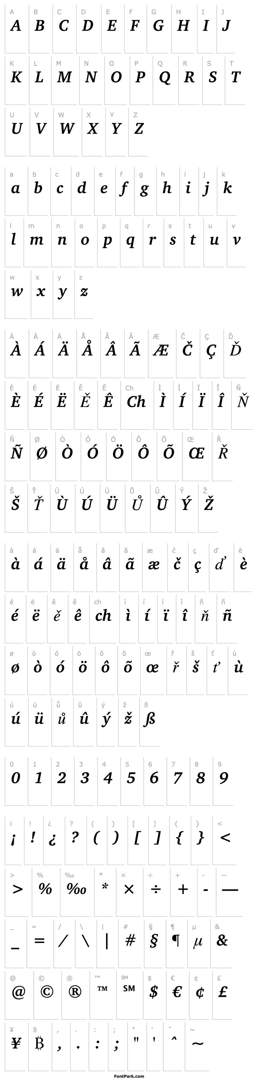 Overview Charter ITC Bold Italic BT