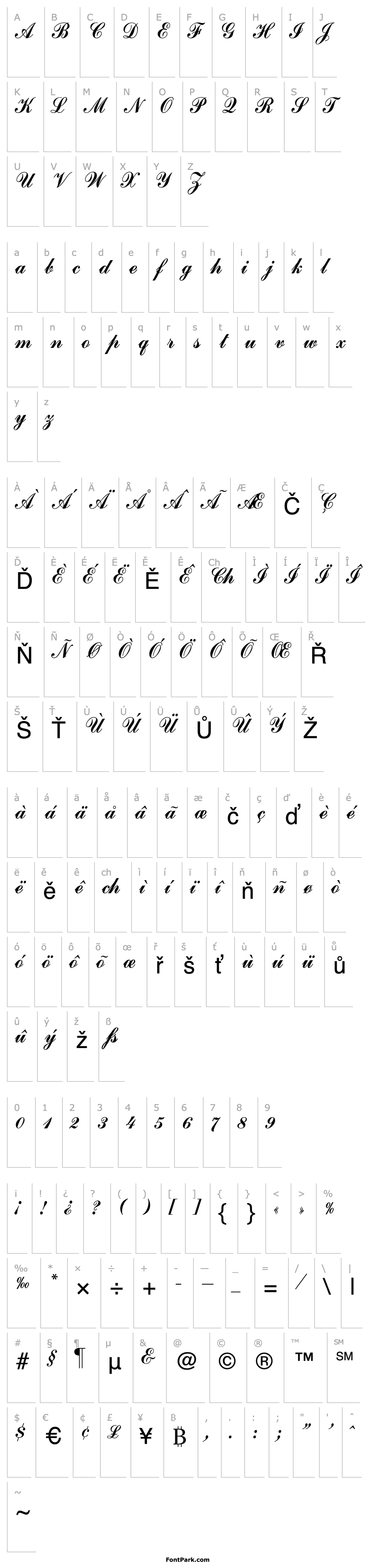 Přehled Commercial_Script