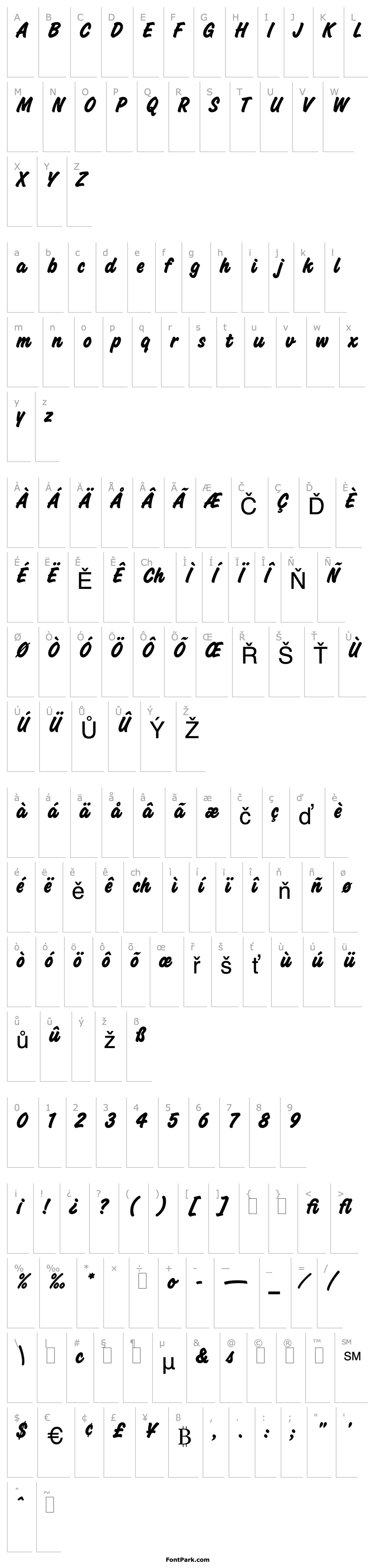 Přehled Challenge Bold LET Plain:1.0