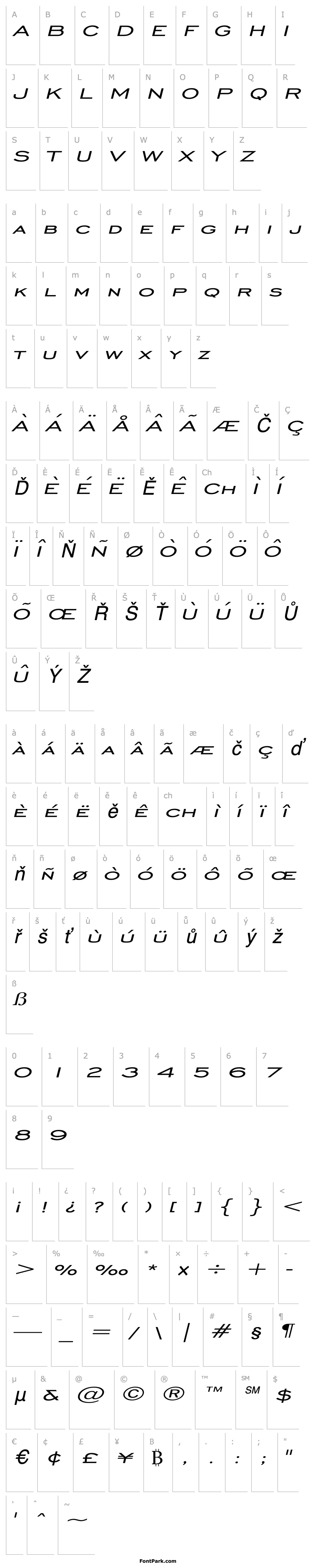 Overview Chisel Extended Italic