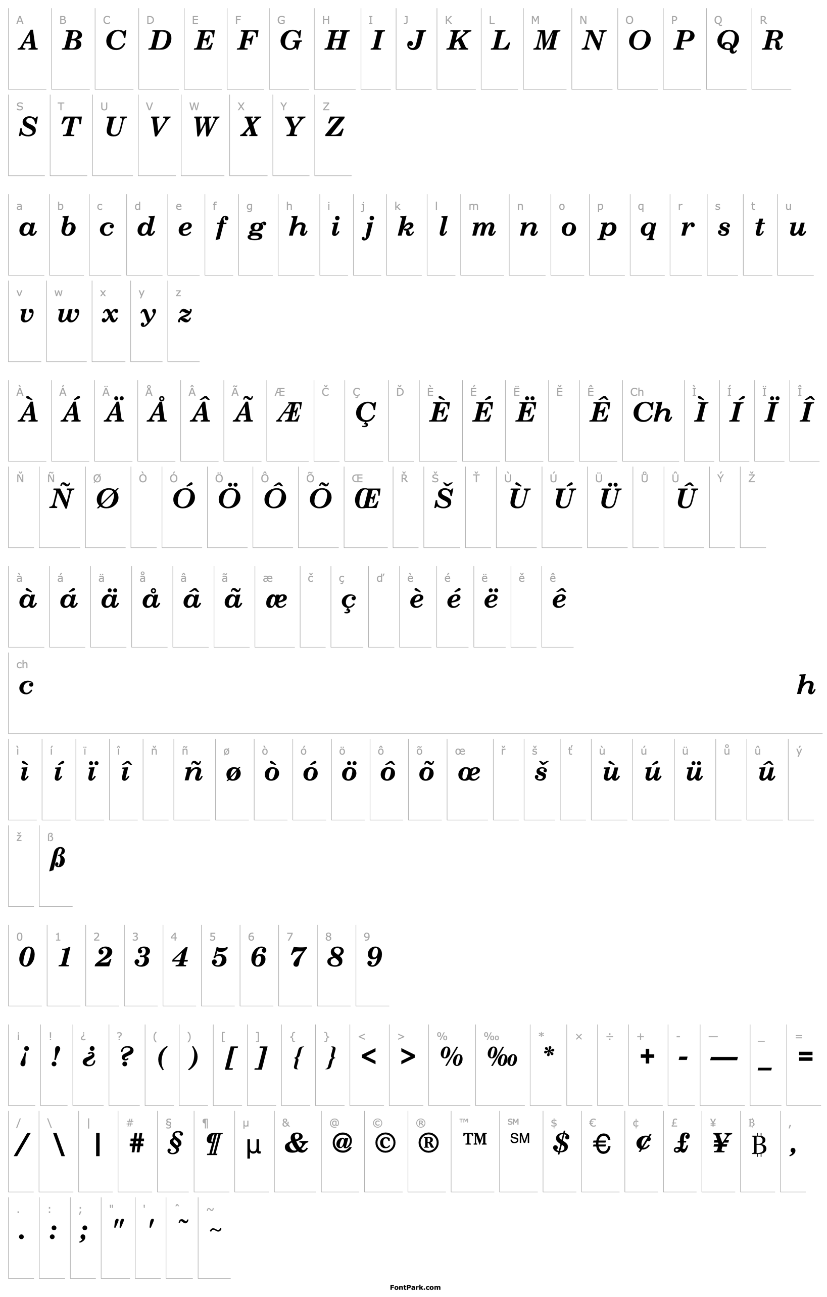 Přehled Century-Schoolbook-Bold-Italic