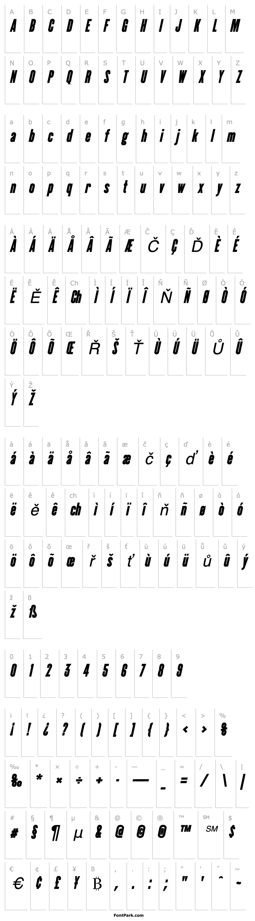 Overview CactusBlack Italic