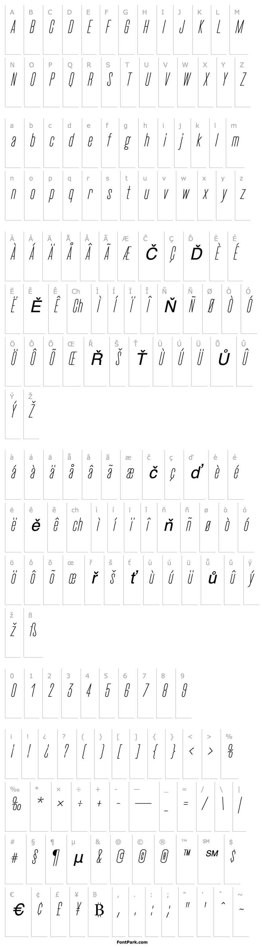 Overview CactusLight Italic