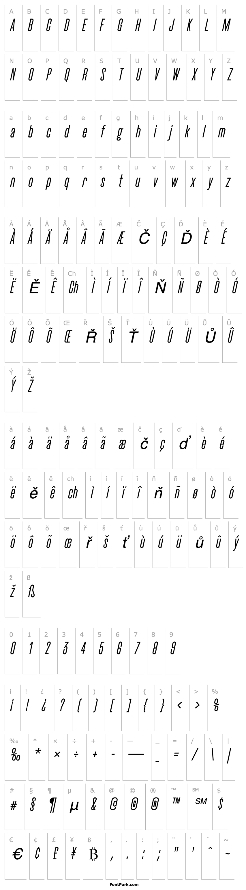 Overview CactusMedium Italic