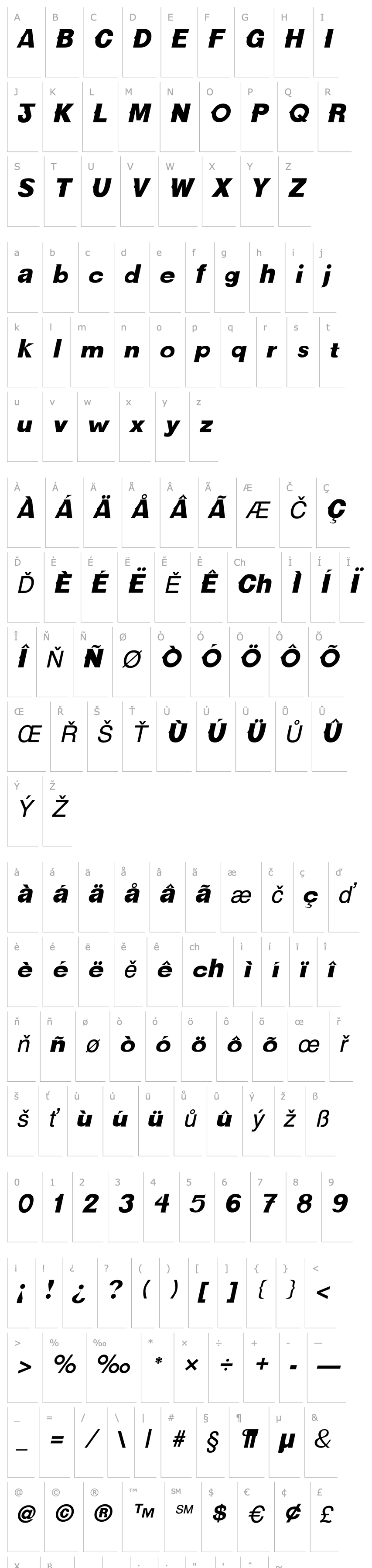 Overview CactusSSK Italic