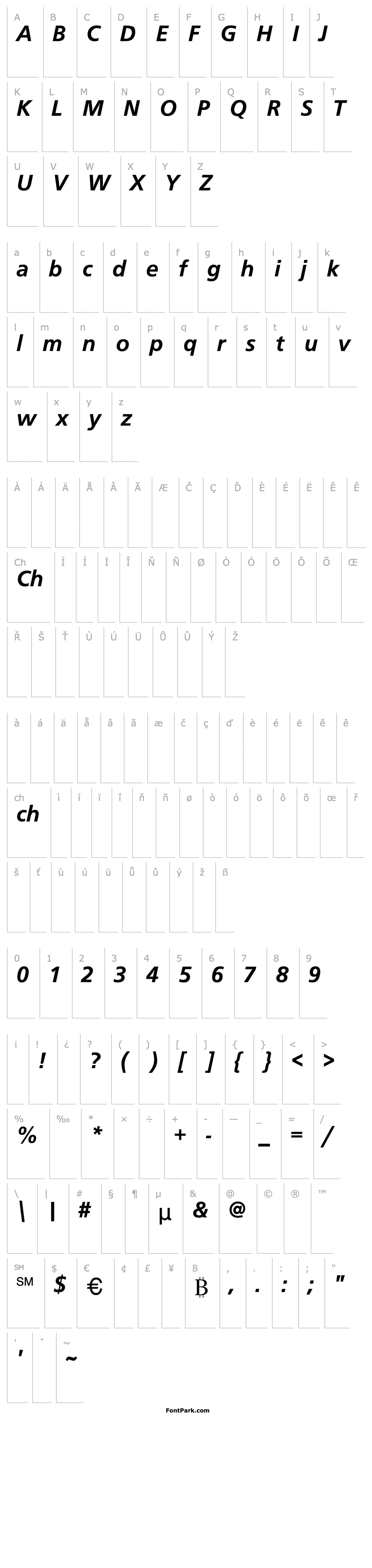 Overview Cadet Sans Bold Italic