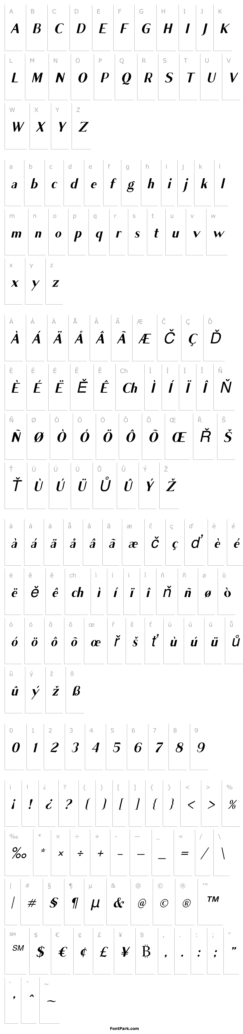 Přehled Cagile Italic