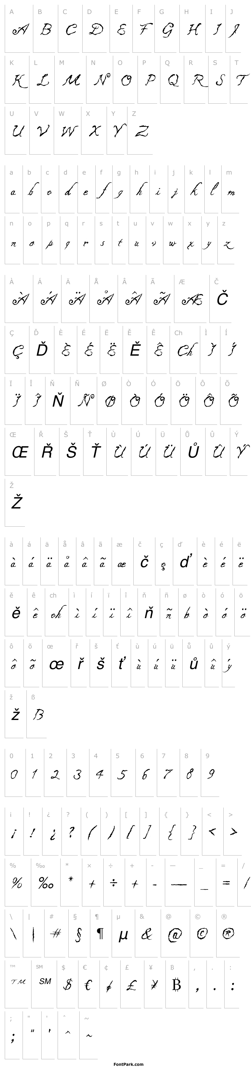 Overview Caligraf 1435 Italic