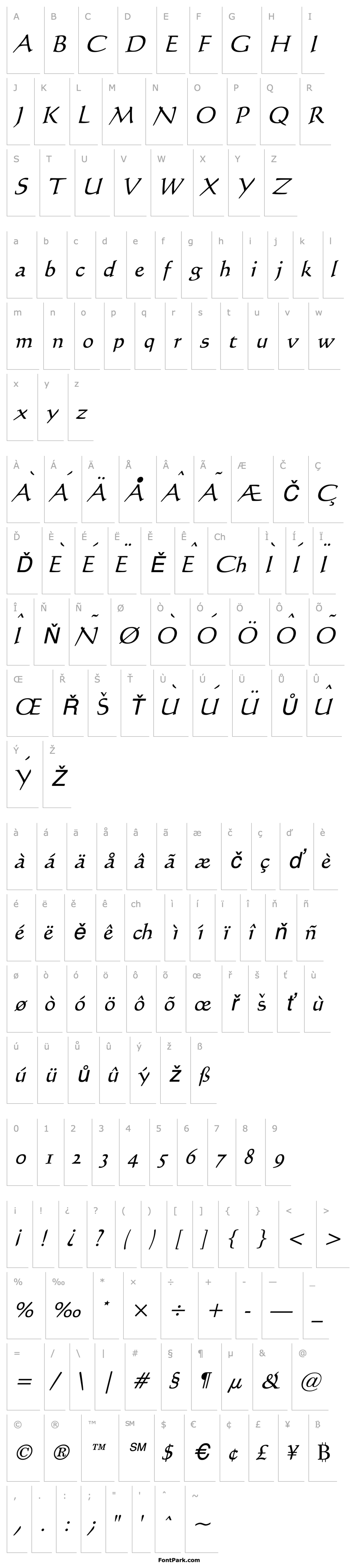 Overview Calli 109 Italic