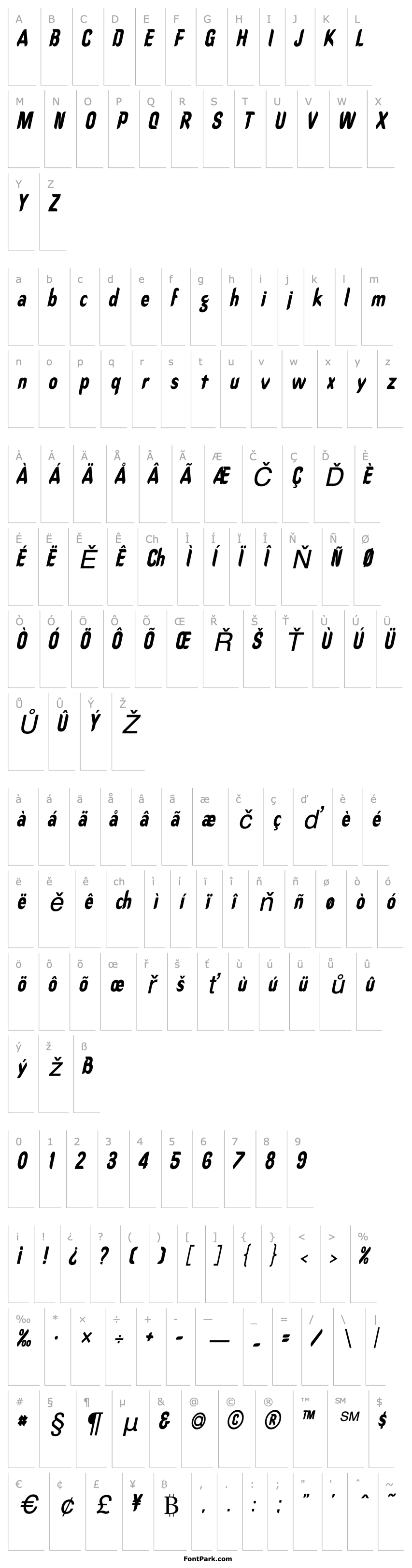 Přehled Callimarker-Condensed Italic