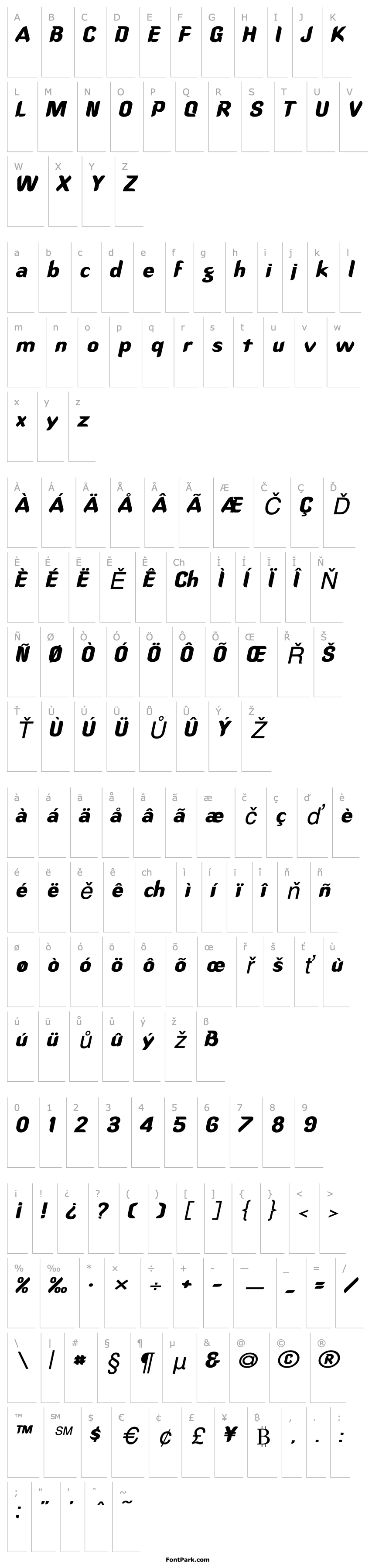 Overview Callimarker-Extended Italic