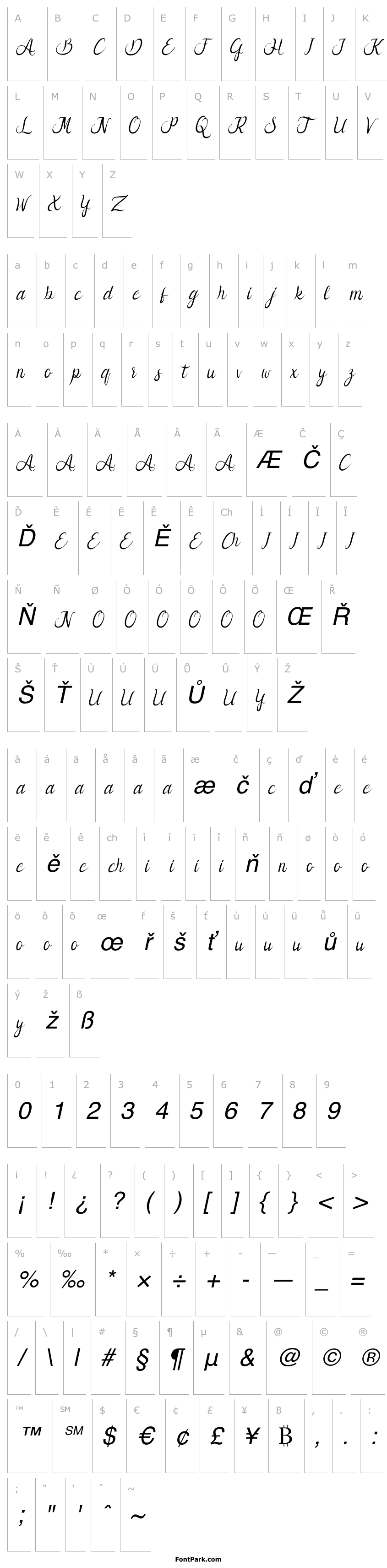 Přehled Callion Demo Italic