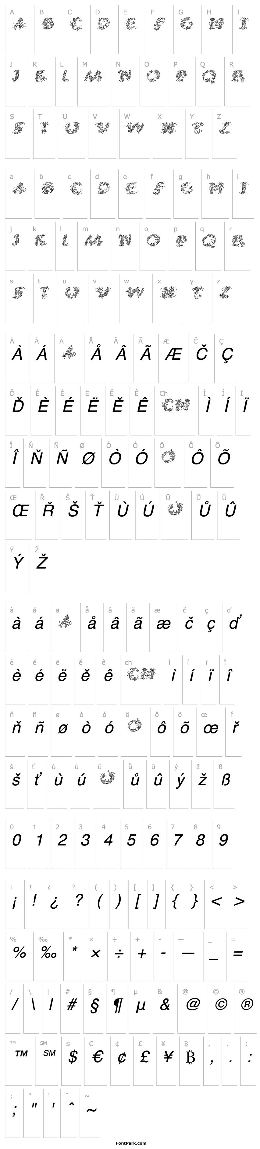 Overview CalliPsoGrafia  Italic