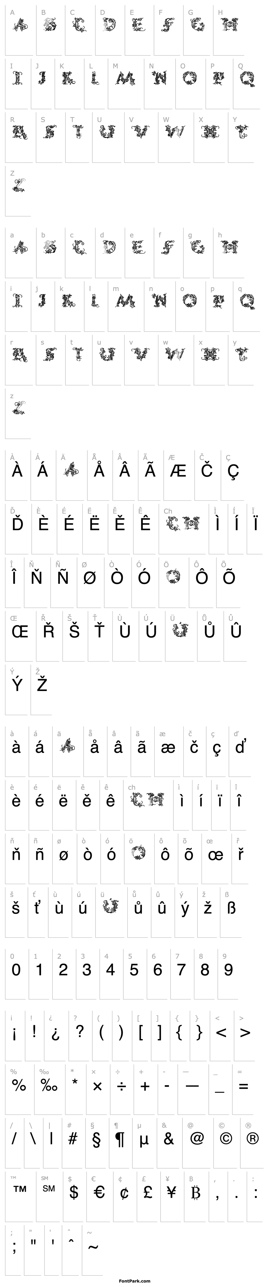 Přehled CalliPsoGrafia  Medium