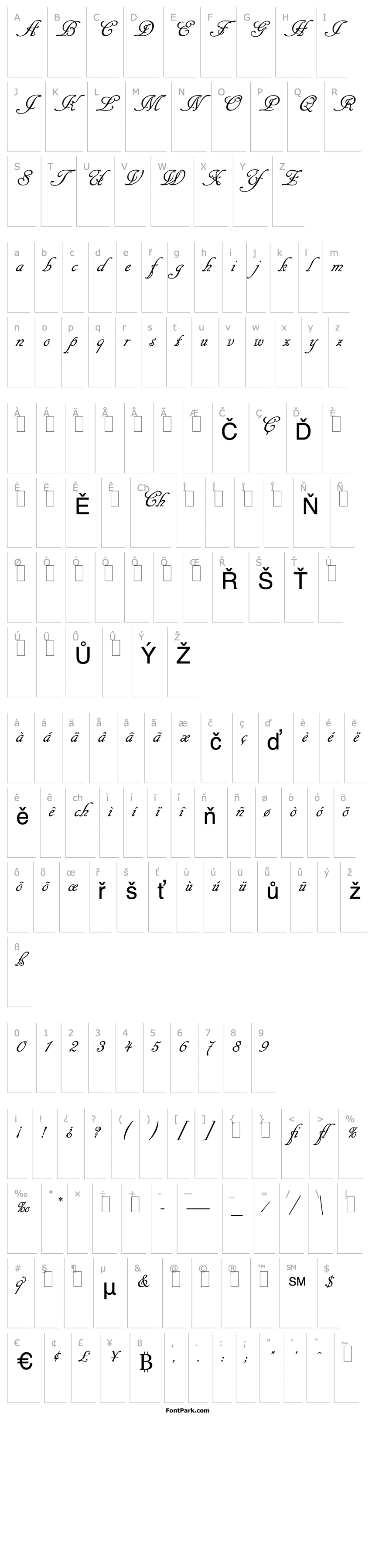 Overview Cancellaresca Script LET