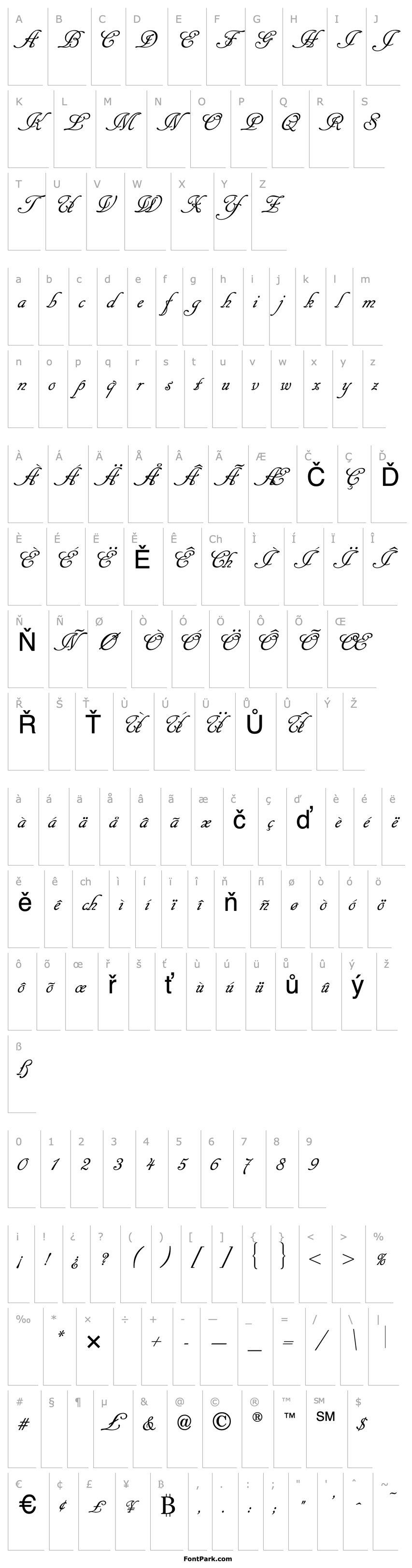 Přehled Cancellaresca Script  Normal