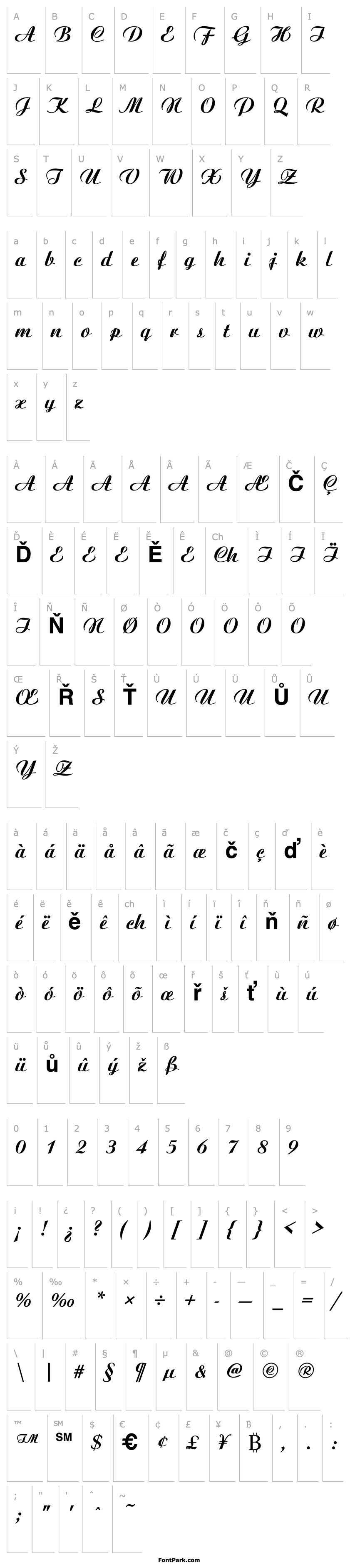 Overview Candia Script Ssk  Bold