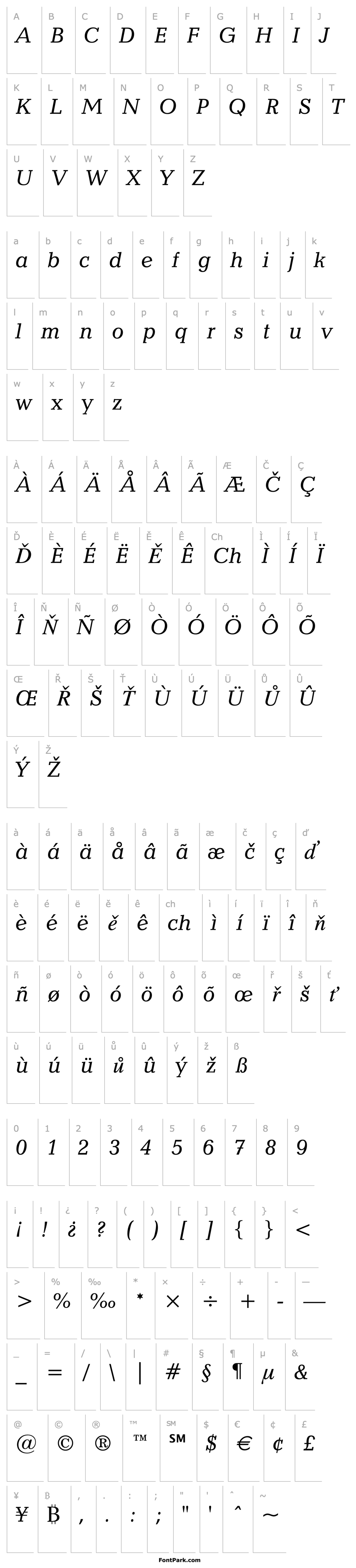 Přehled Candida Italic BT