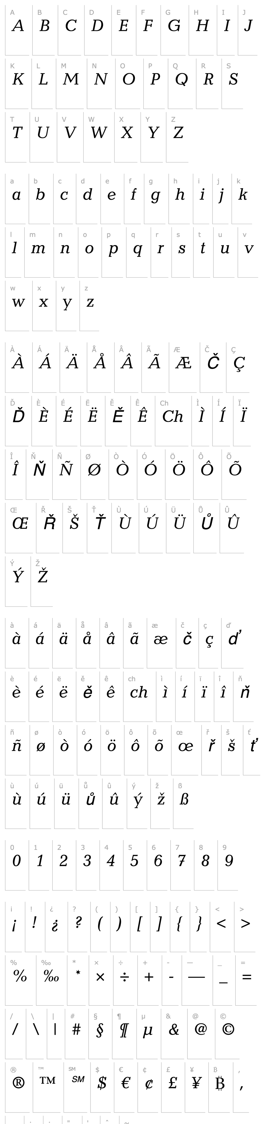 Přehled Candida LT Italic