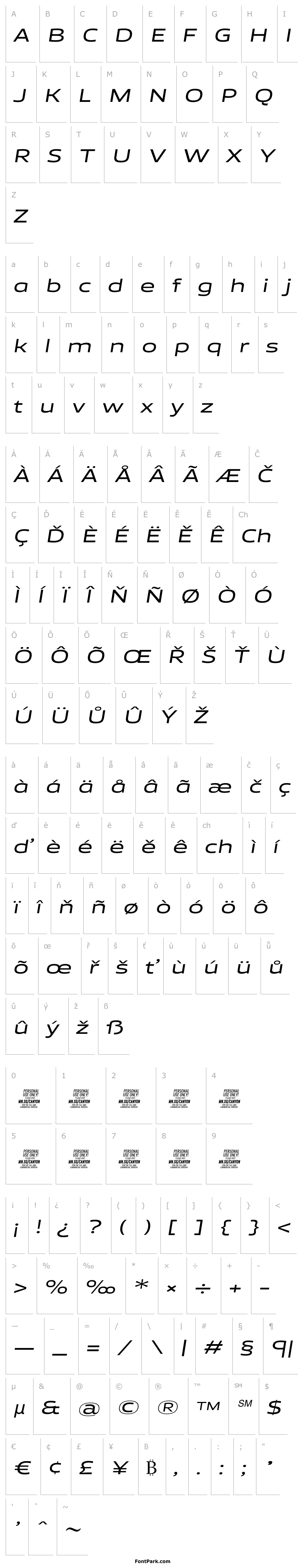 Overview Canyon PERSONAL USE ONLY Medium Italic