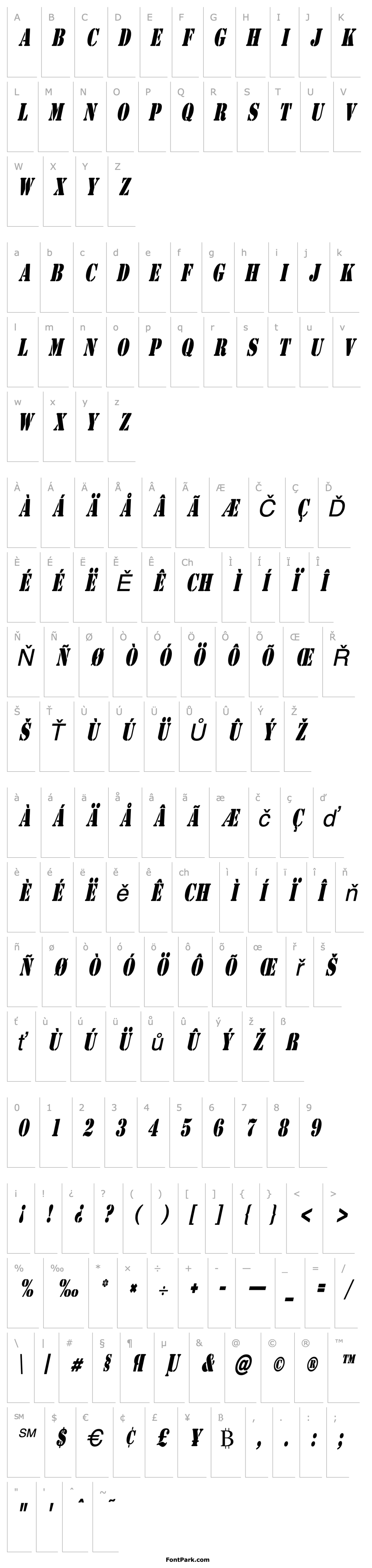 Overview CargoCondensed Italic