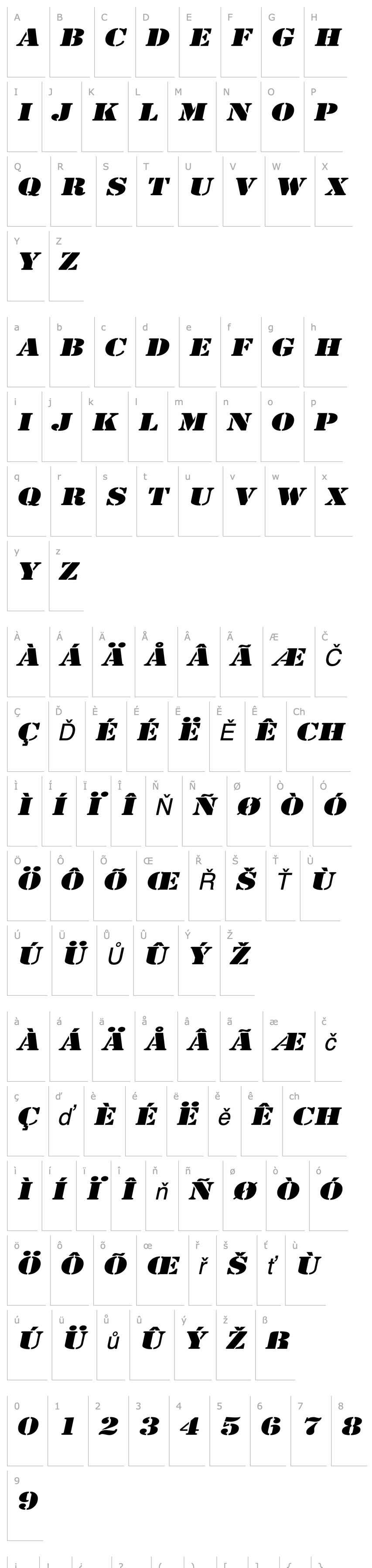 Overview CargoExtended Italic