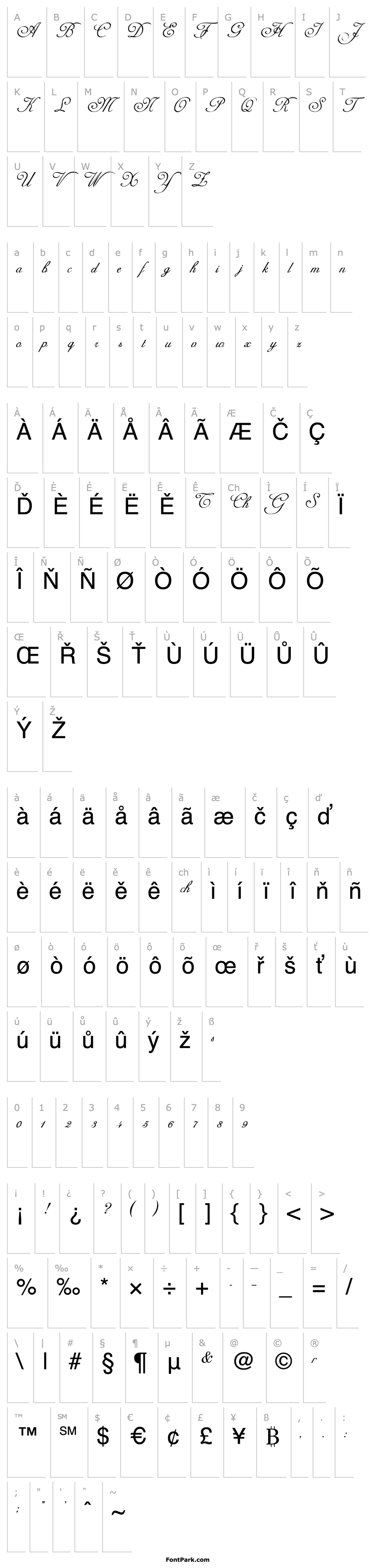 Overview Carmel Script SSi