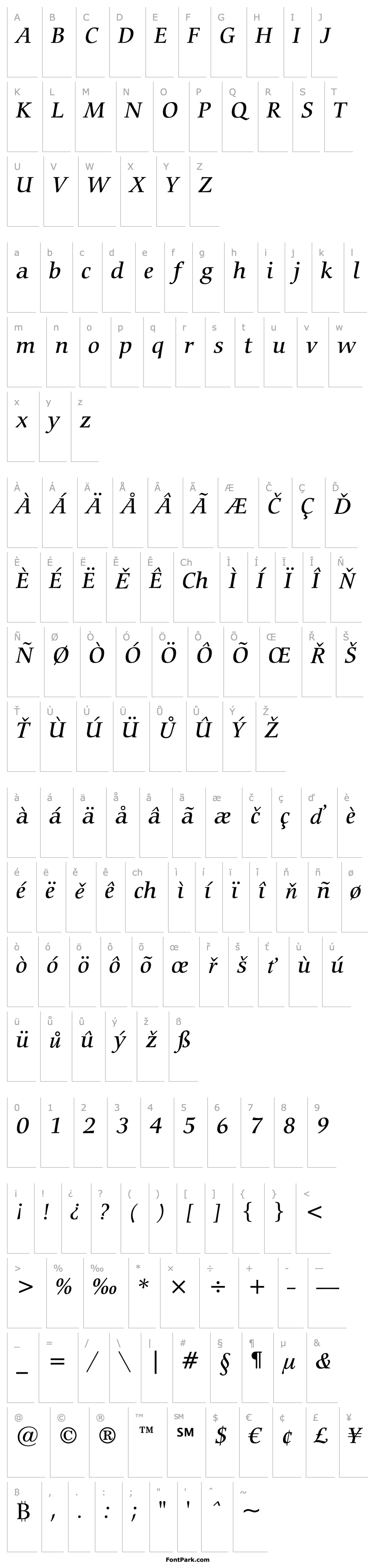 Overview Carmina Md BT Medium Italic