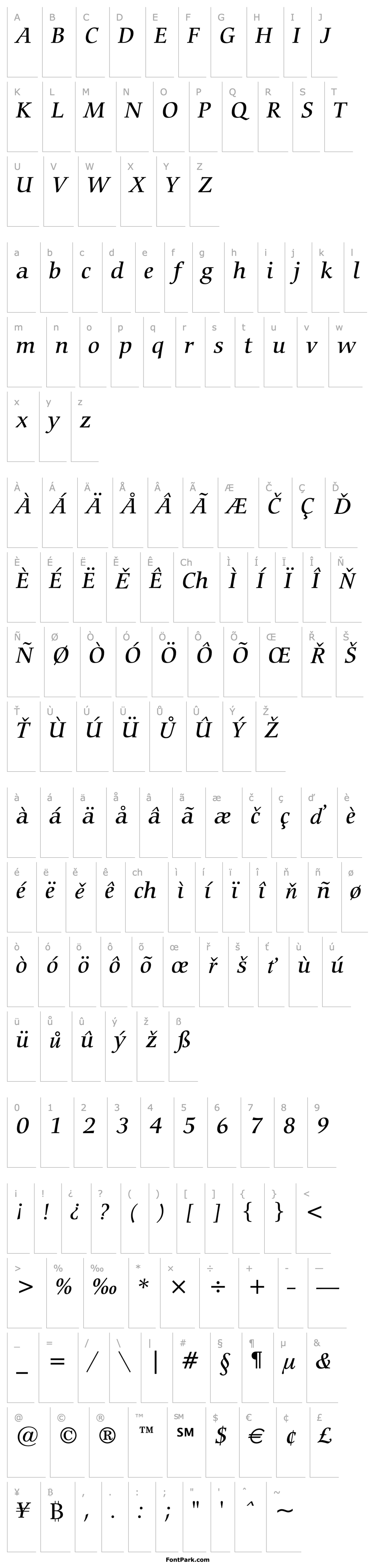 Overview Carmina Medium Italic BT