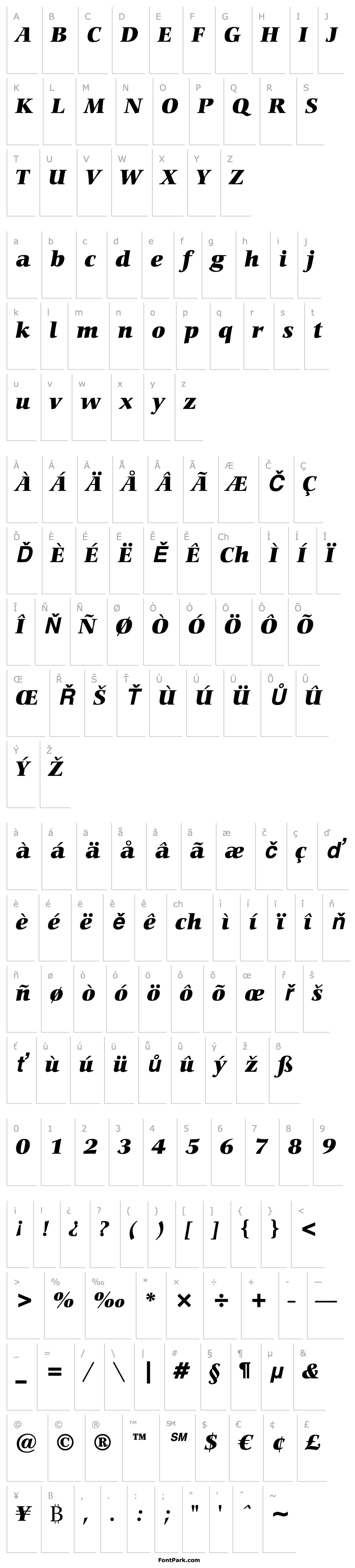 Přehled CarminaBT-BlackItalic