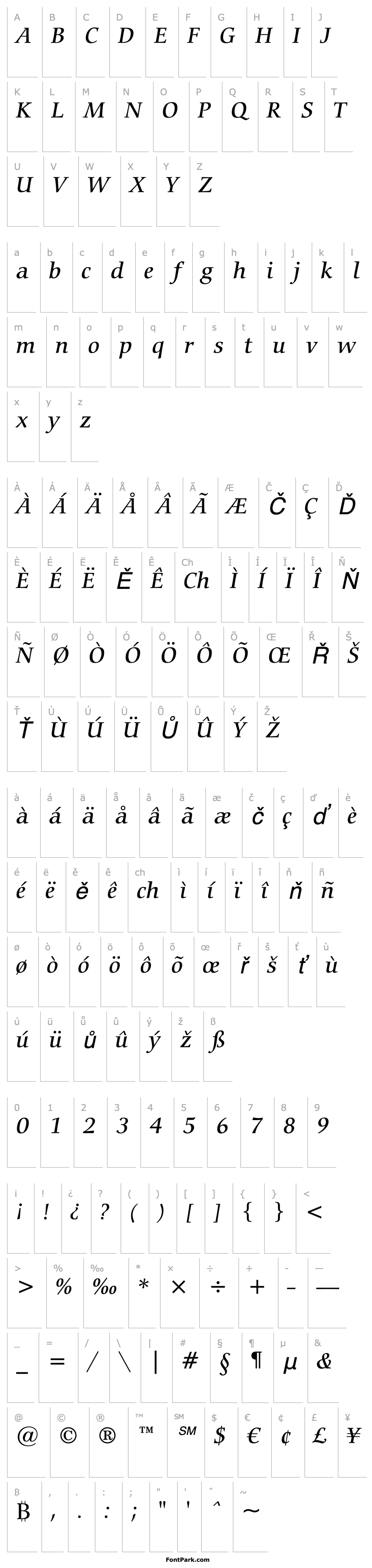 Overview CarminaBT-MediumItalic