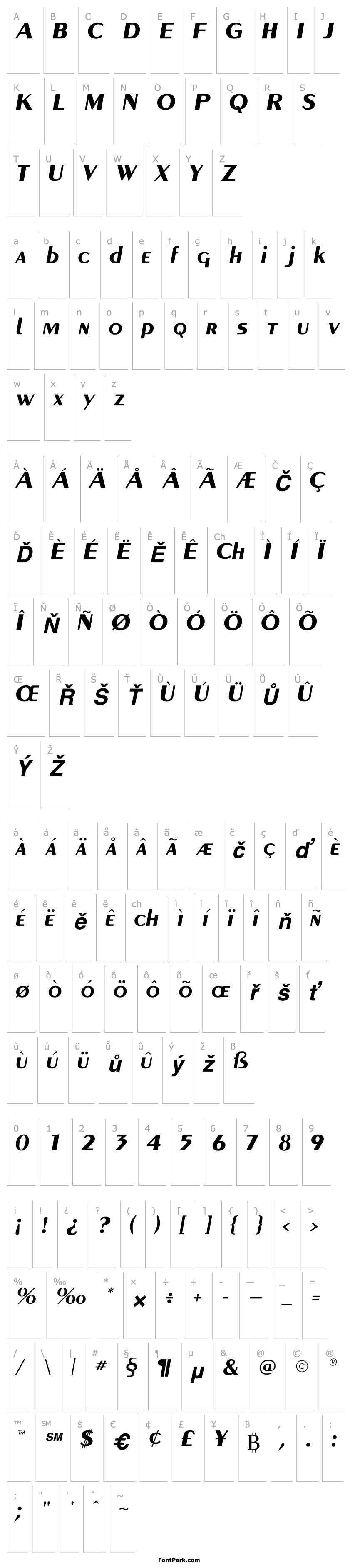 Přehled Carnati SSi Bold Italic