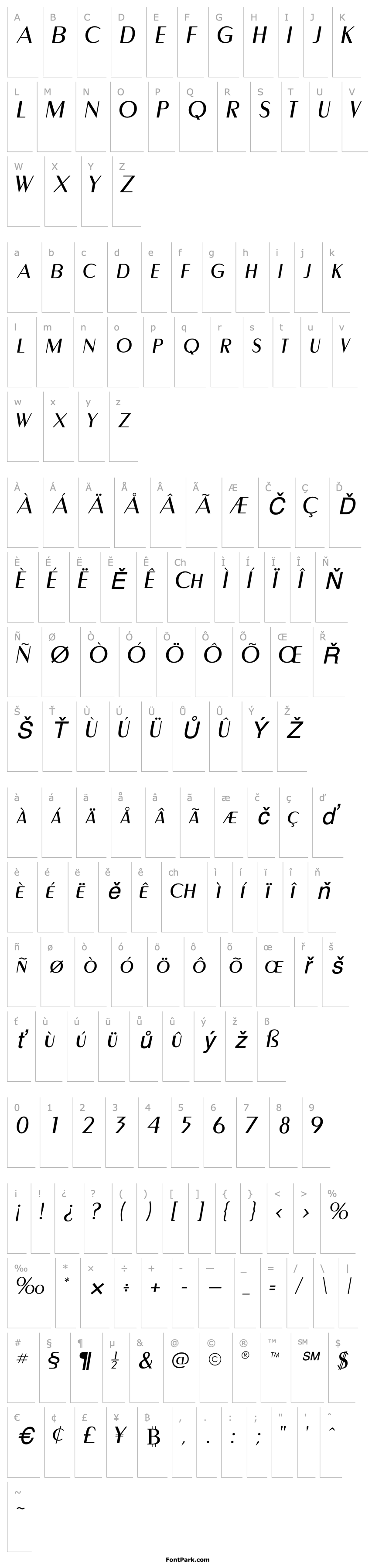 Přehled CarnatiSCapsSSK Italic