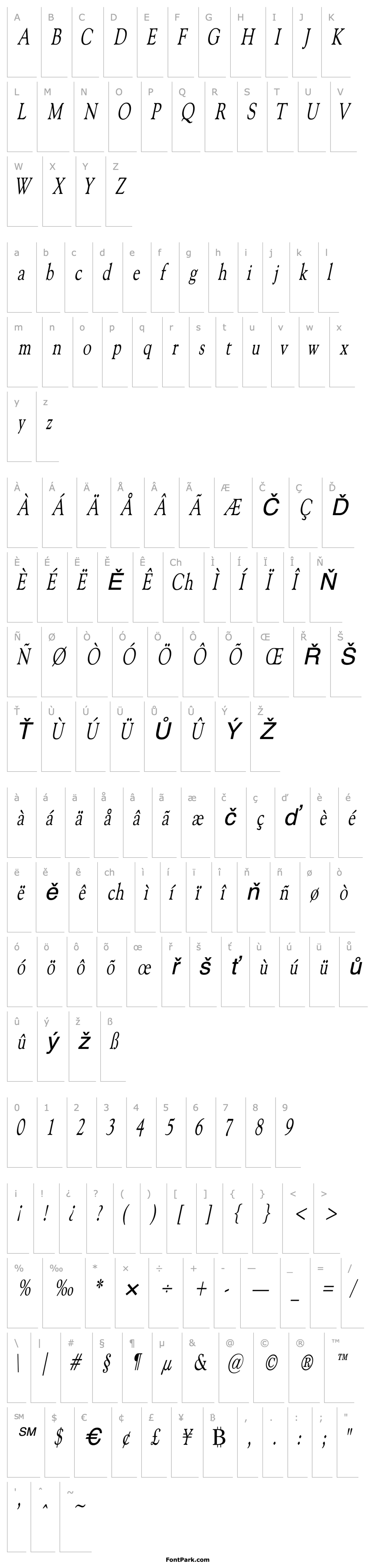 Overview CarnegieCondensed Italic