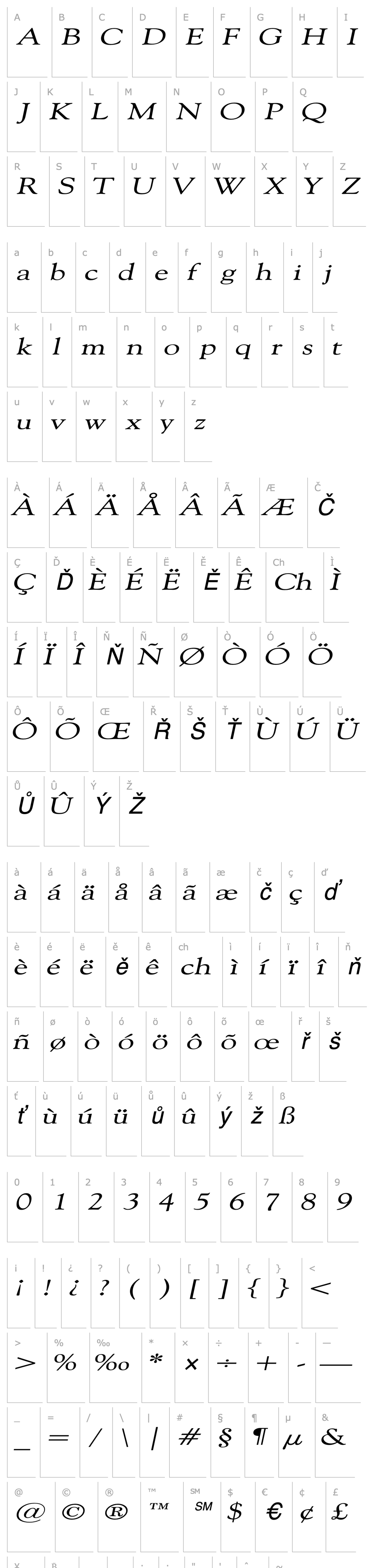 Overview CarnegieExtended Italic