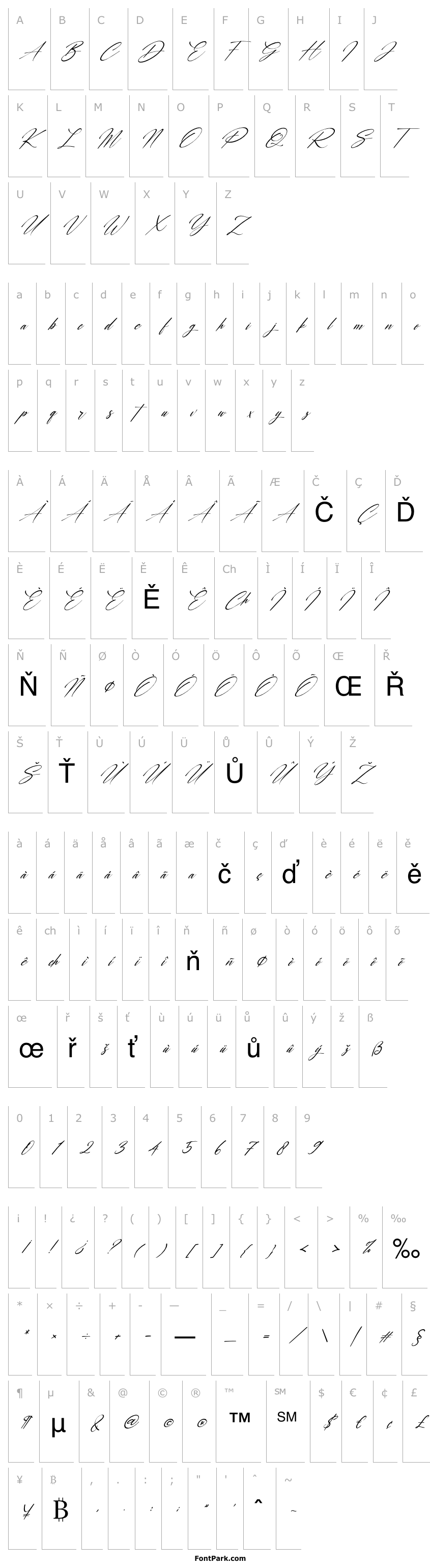 Overview Carrie  Gallerie Italic