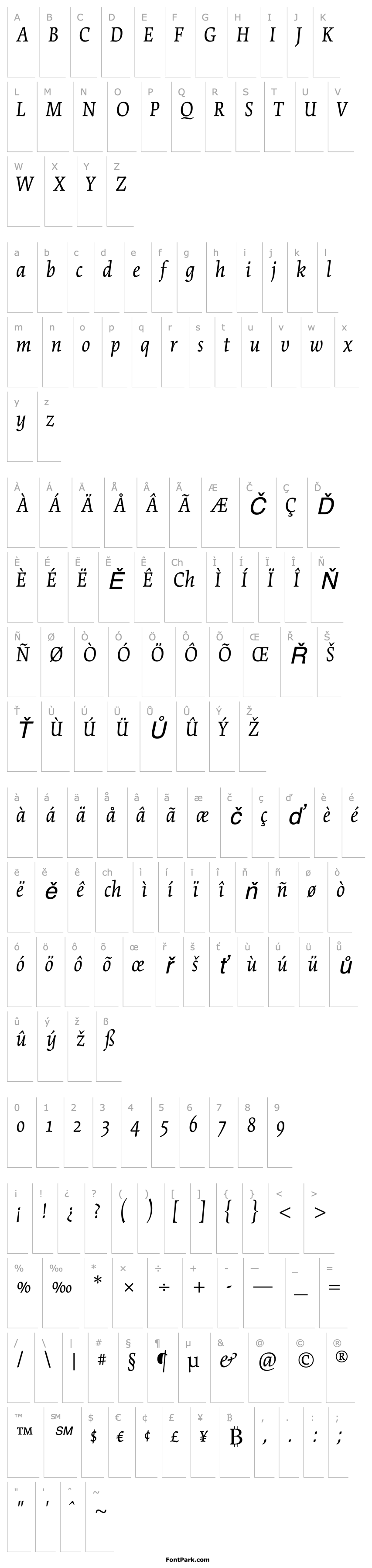 Overview CartierBookStd-Italic