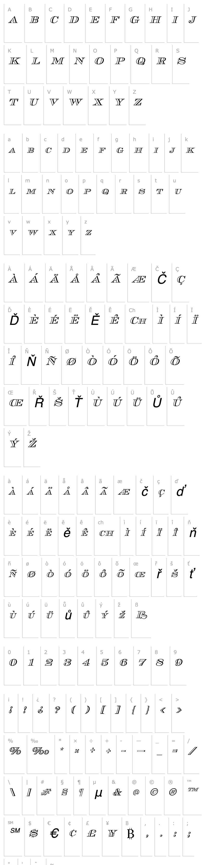 Overview Cash OutlineItalic