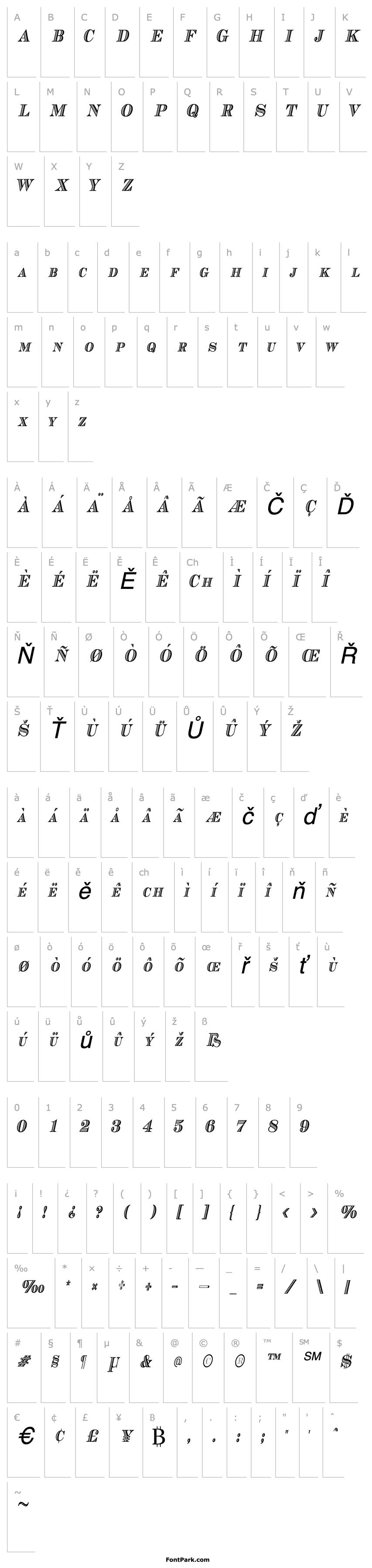 Overview CashCondensed Italic