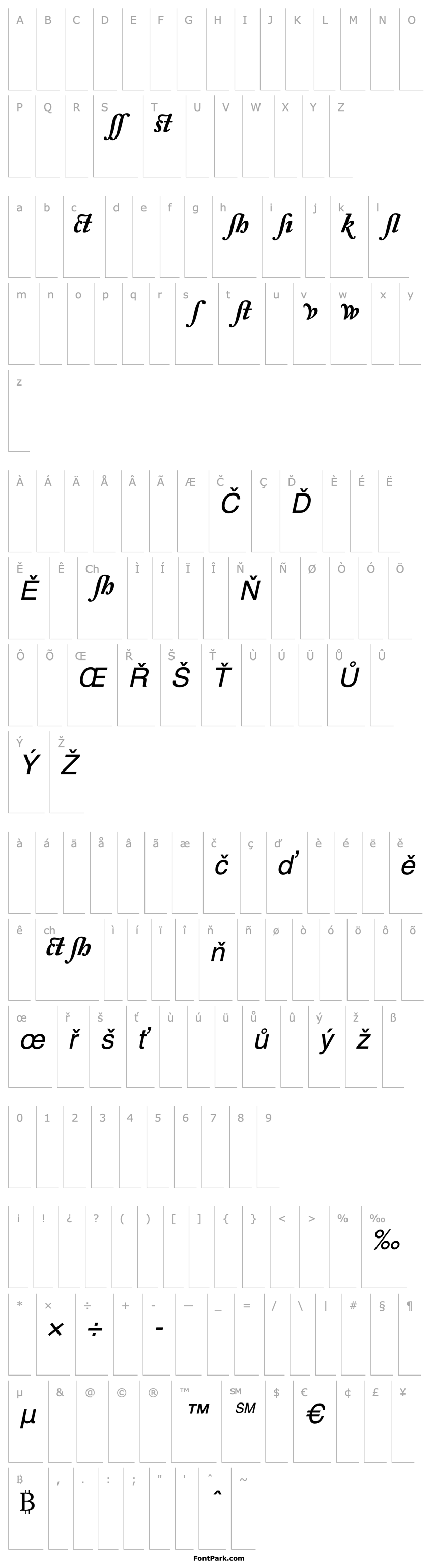 Přehled Caslon Alternate Black SSi Bold Italic