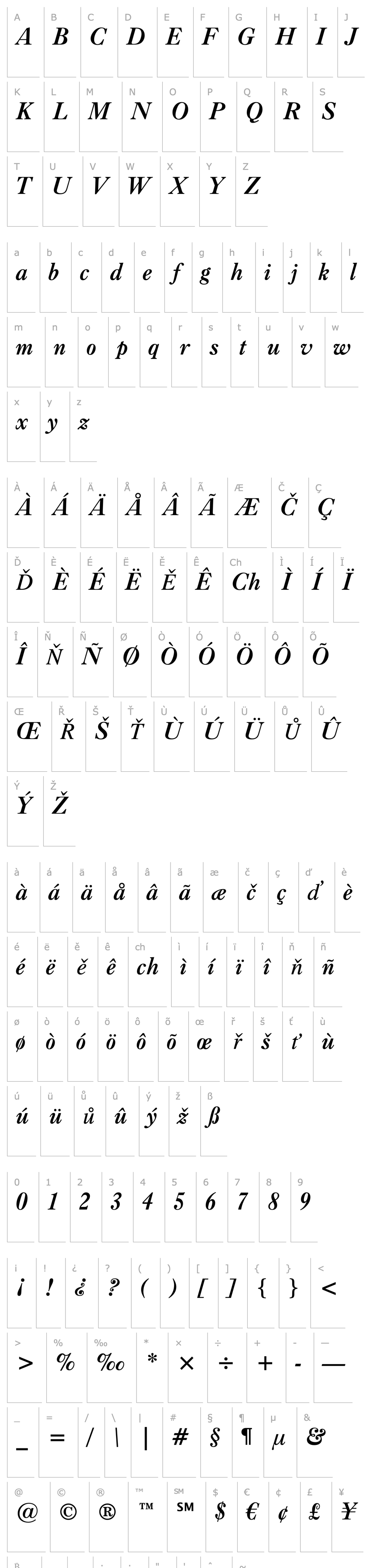 Overview Caslon Bd BT Italic