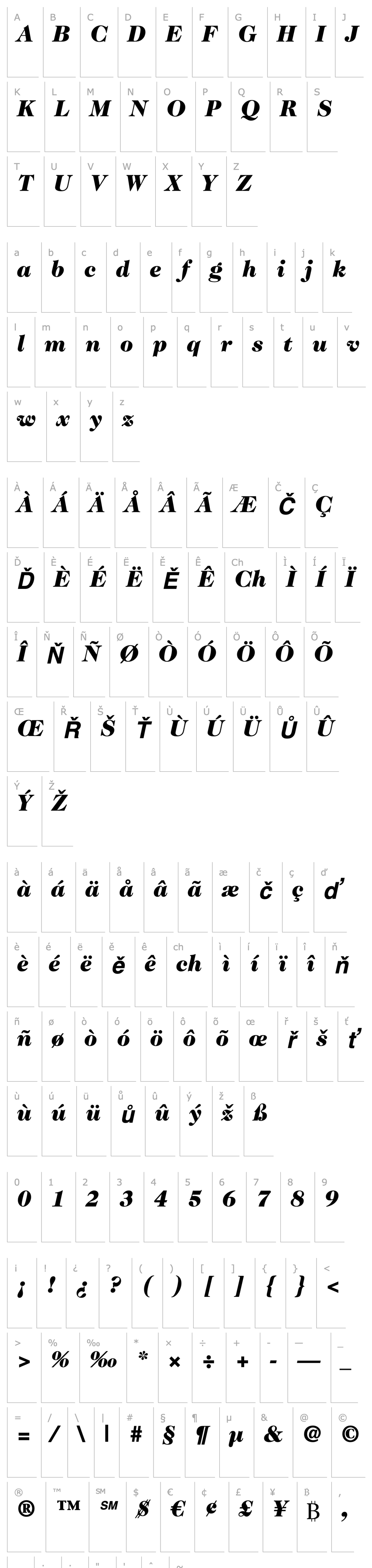 Overview Caslon224Std-BlackItalic