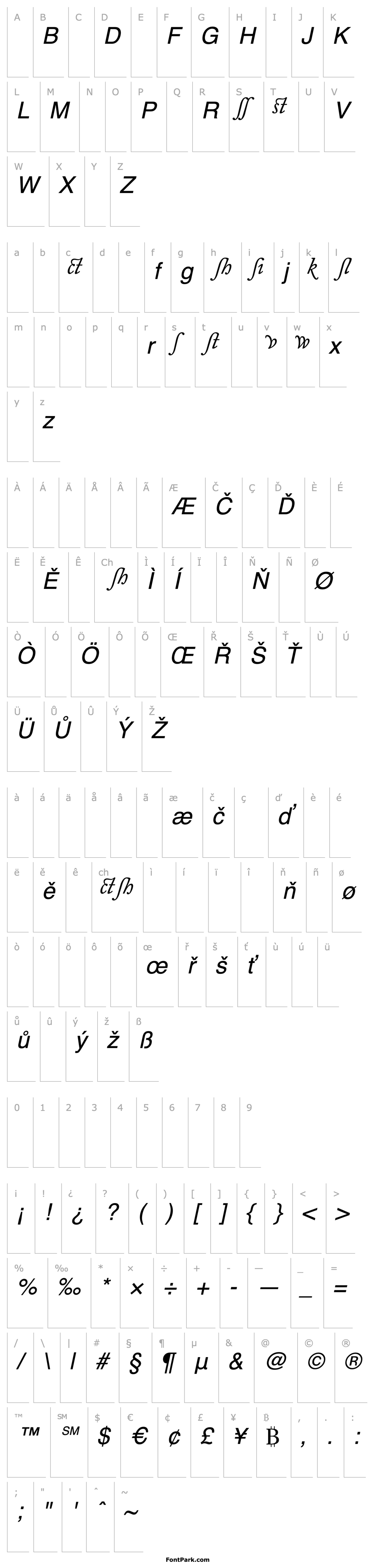 Přehled CaslonAlternateSSK Italic